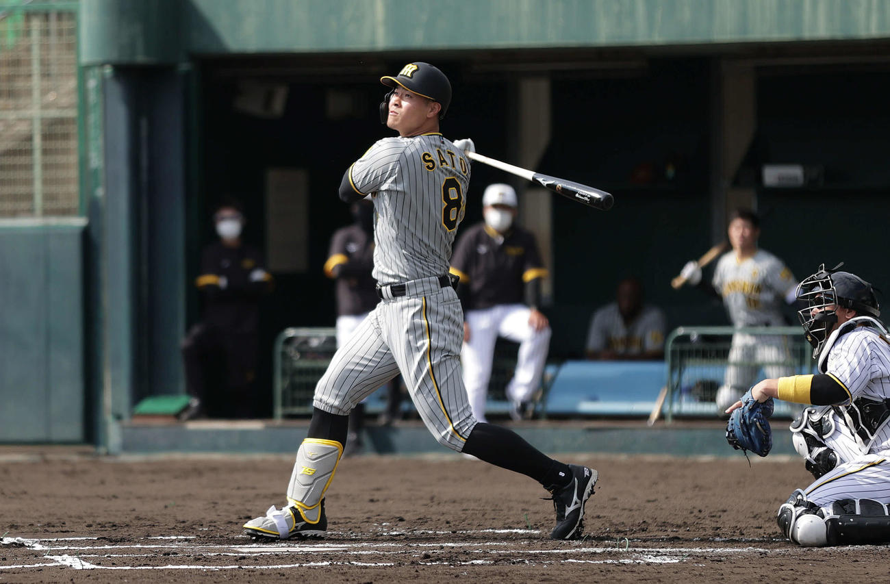 2回裏紅組無死、左越え本塁打を放つ佐藤輝（撮影・前田充）