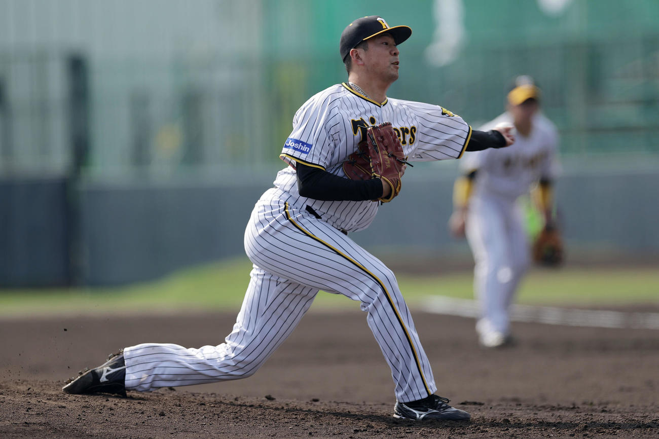 紅白戦　紅組の2番手で登板する阪神渡辺（撮影・前田充）