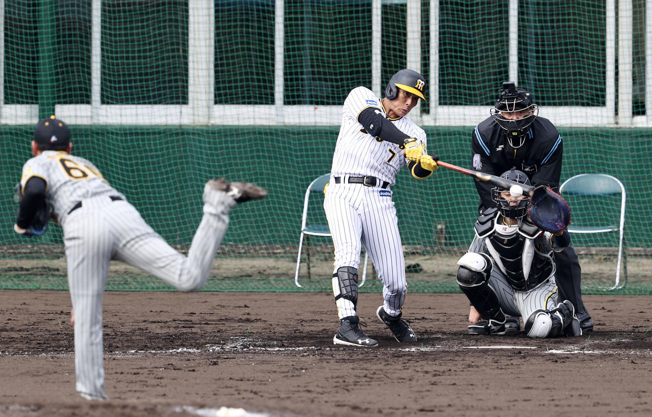 6回表白組2死、糸井は中前打を放つ。投手小川（撮影・加藤哉）
