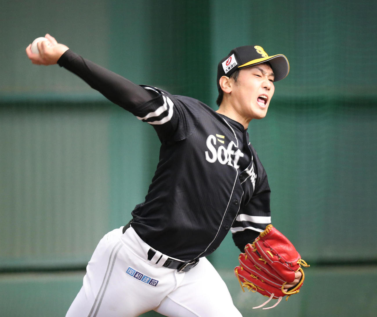 ブルペンに入った石川柊太は力強く投げ込む（撮影・梅根麻紀）（撮影・梅根麻紀）