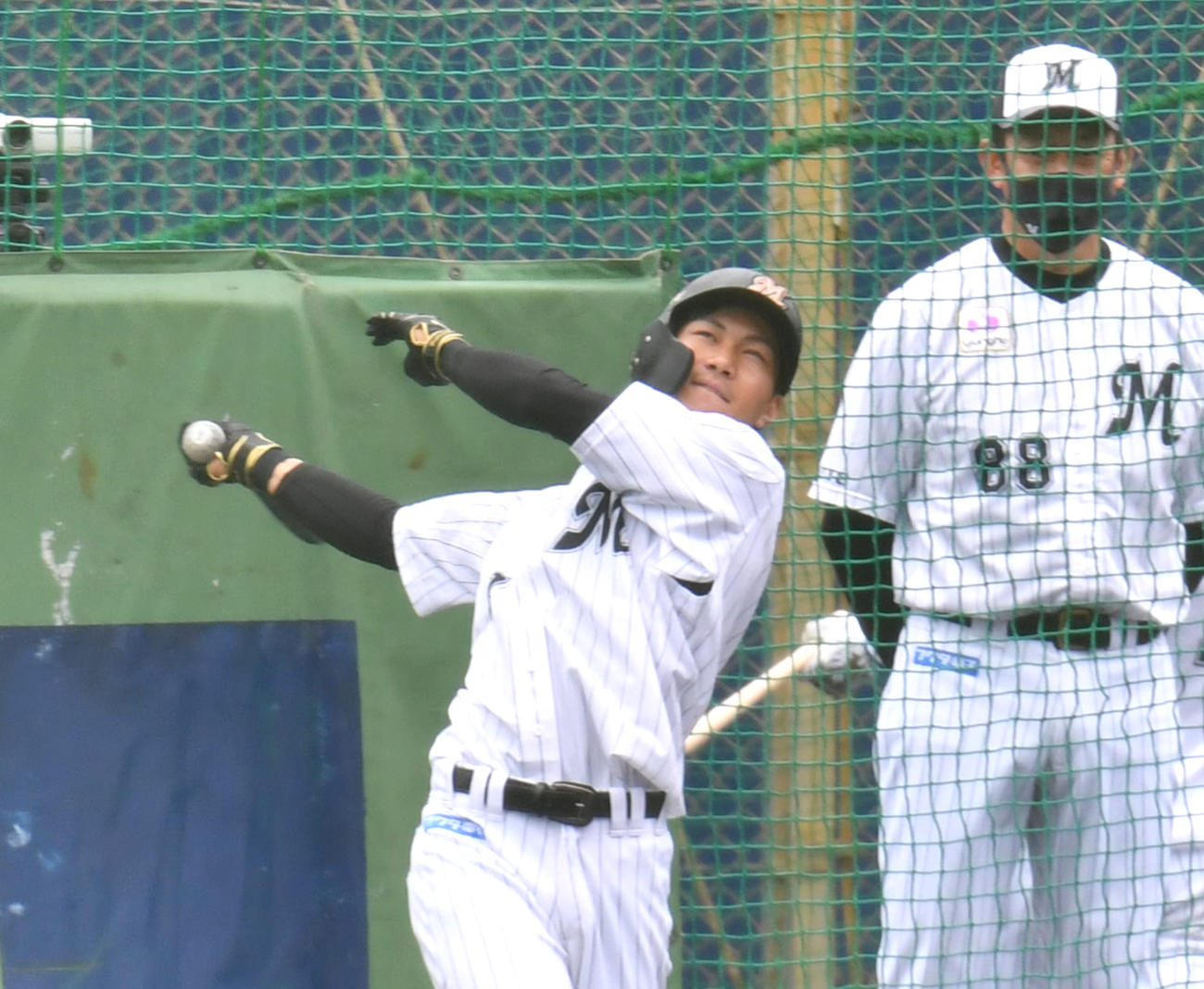 フリー打撃をするロッテ藤原恭大（撮影・柴田隆二）