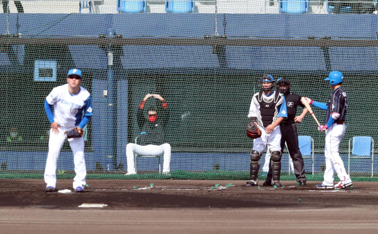 紅白戦でバックネット裏から「マルポーズ」を出す日本ハム新庄監督（撮影・黒川智章）