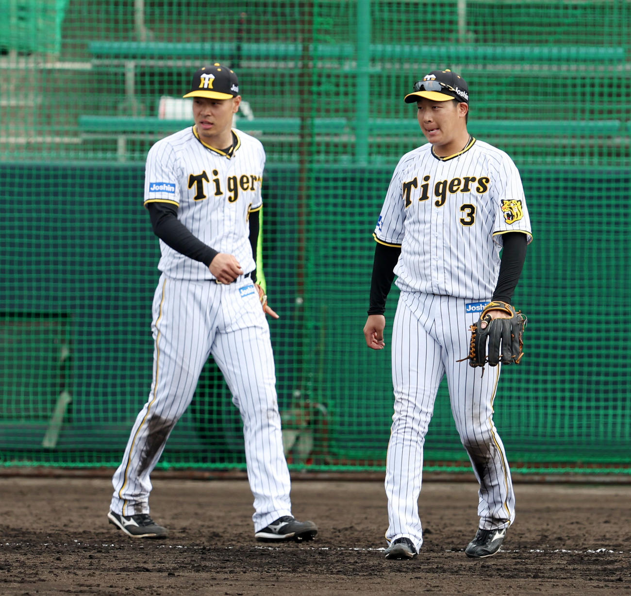 シートノックでともに三塁守備位置を守る佐藤輝（左）と大山（撮影・加藤哉）