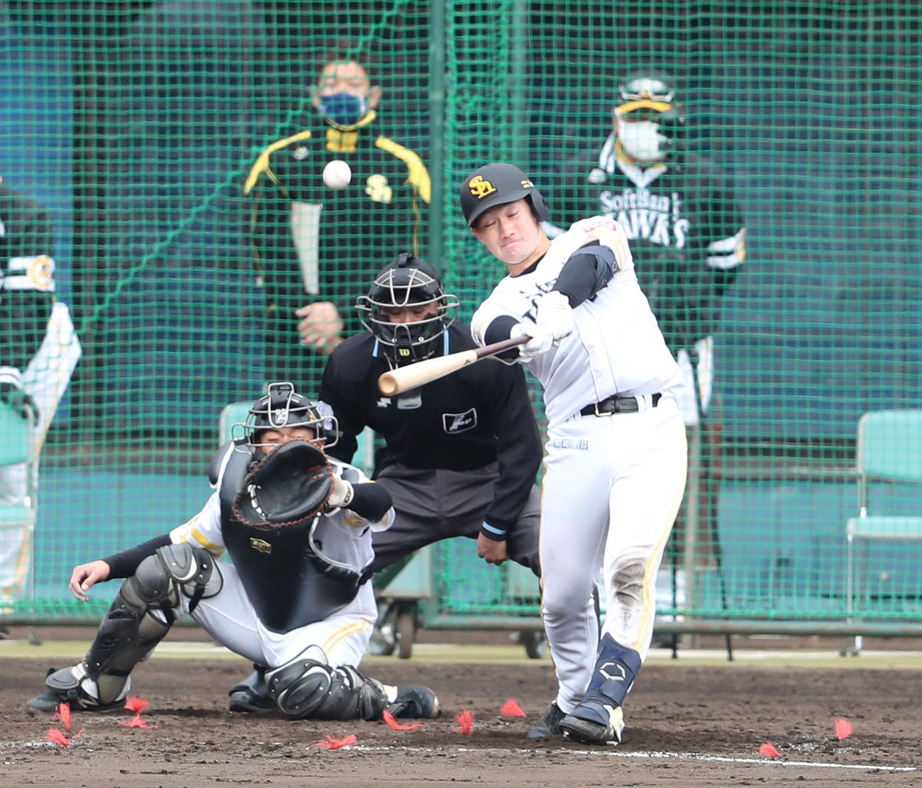 シート打撃で二塁打を放つソフトバンク正木智也（撮影・梅根麻紀）