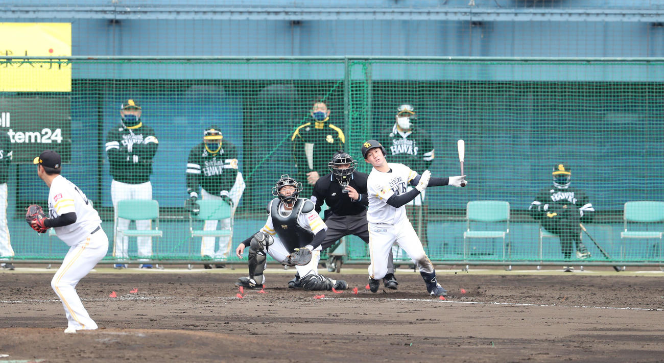 シート打撃で二塁打を放つソフトバンク正木智也（撮影・梅根麻紀）