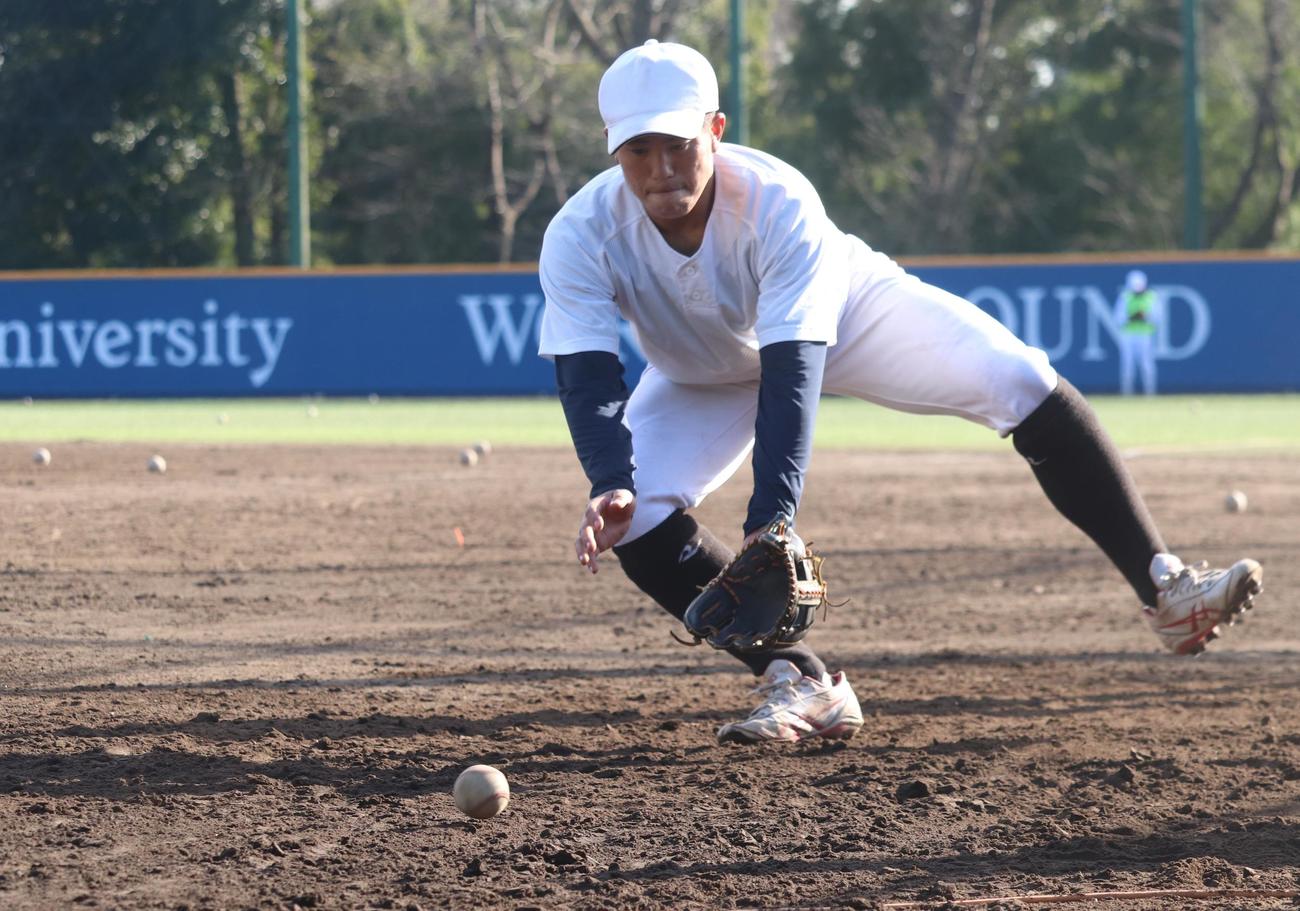 守備練習を受ける創価大・門脇誠内野手（撮影・阿部泰斉）