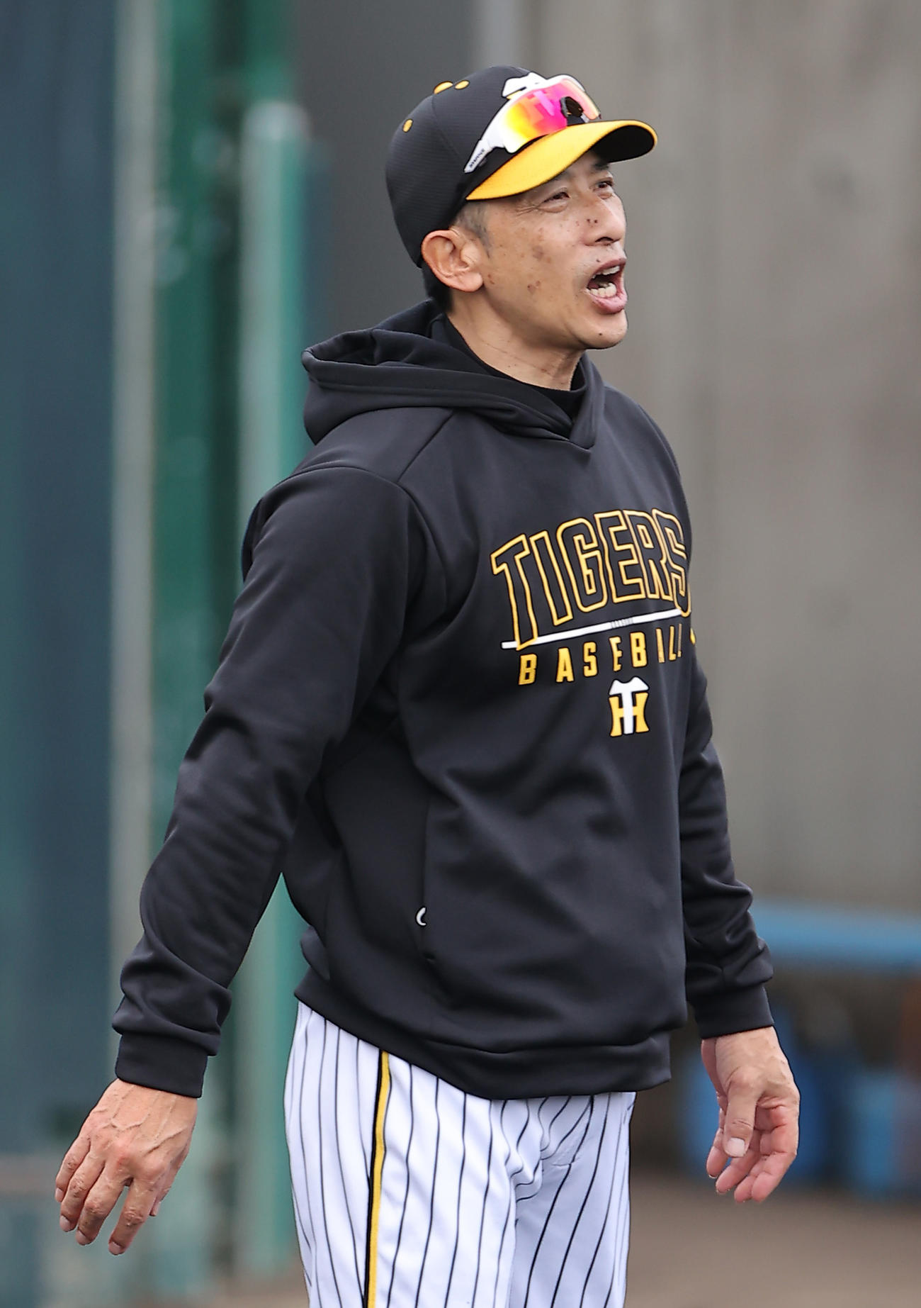 早出練習で声を出す矢野監督（撮影・上山淳一）
