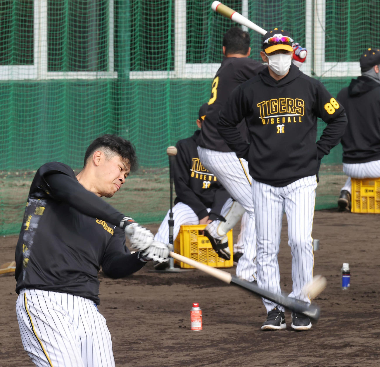 矢野監督（右）が見守る中、ロングティー打撃をする阪神佐藤輝（撮影・上山淳一）