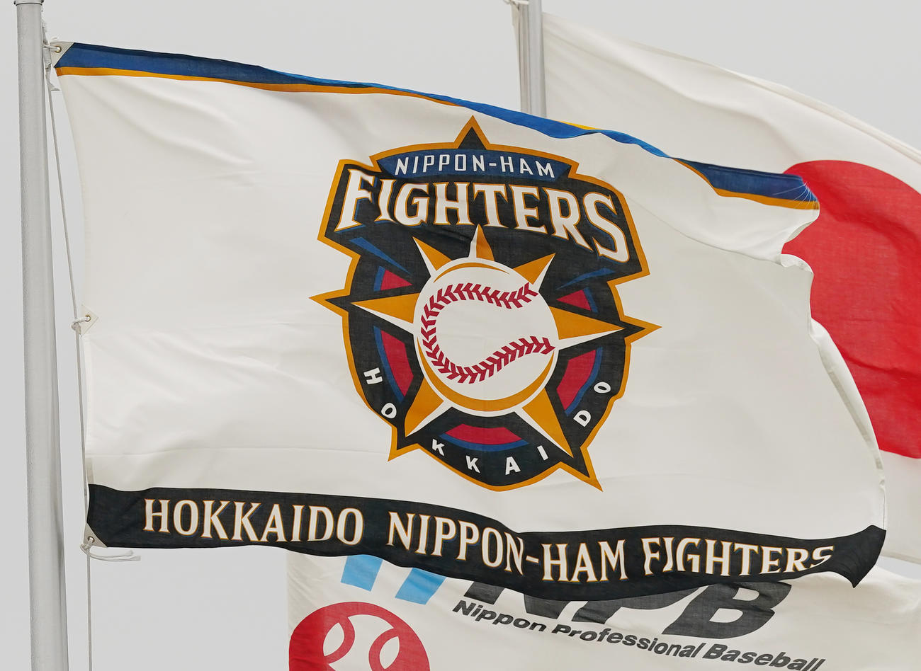 日本ハムの球団旗（2021年2月17日撮影）