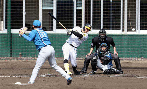 阪神対日本ハム　1回裏阪神2死三塁、佐藤輝は左前適時打を放つ。投手は立野（撮影・加藤哉）