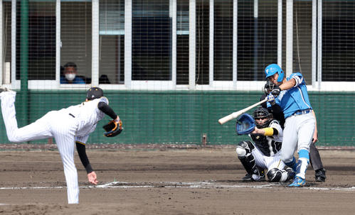 阪神対日本ハム　1回表日本ハム2死満塁、今川は左前適時打を放つ。投手は及川（撮影・加藤哉）