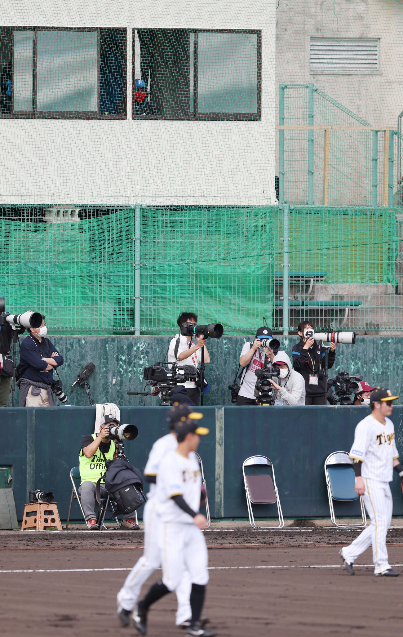 阪神対日本ハム　阪神のシートノックを一塁側の選手控え室から見る新庄監督（撮影・加藤哉）