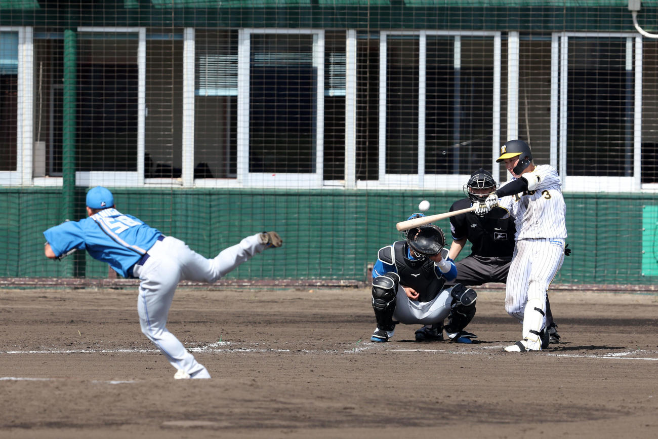 阪神対日本ハム　3回裏阪神2死、大山は左越え本塁打を放つ。投手は谷川（撮影・加藤哉）