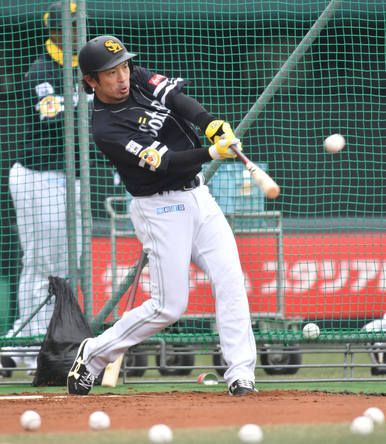 フリー打撃を行う松田（撮影・岩下翔太）