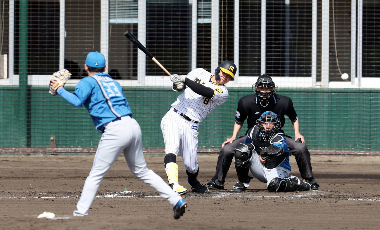阪神対日本ハム　1回裏阪神2死三塁、佐藤輝は左前適時打を放つ。投手は立野（撮影・加藤哉）