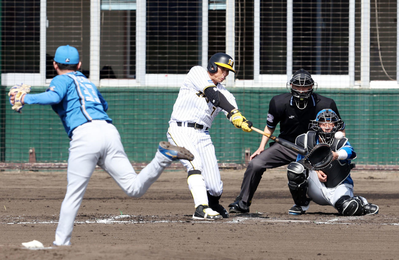 阪神対日本ハム　1回裏阪神2死一塁、糸井は左前放つ。投手は立野（撮影・加藤哉）