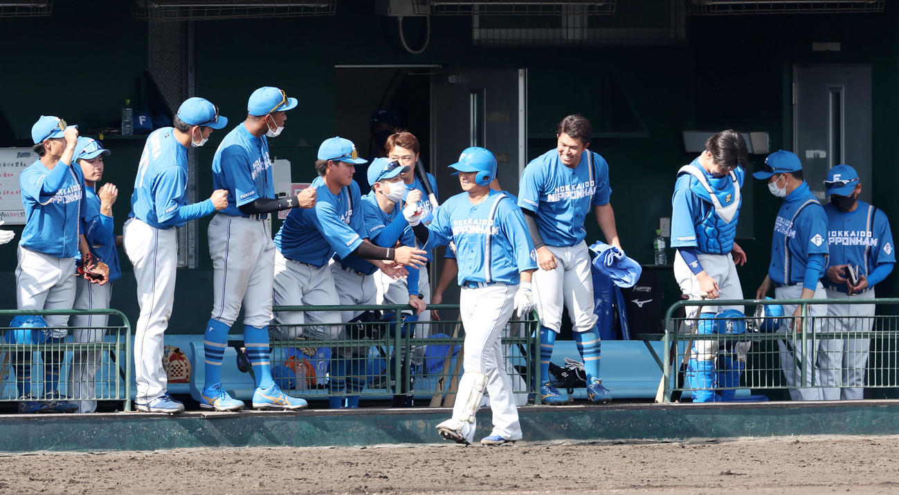 阪神対日本ハム　6回表日本ハム2死、代打佐藤は左越え本塁打を放ちベンチのナインとタッチする（撮影・加藤哉）