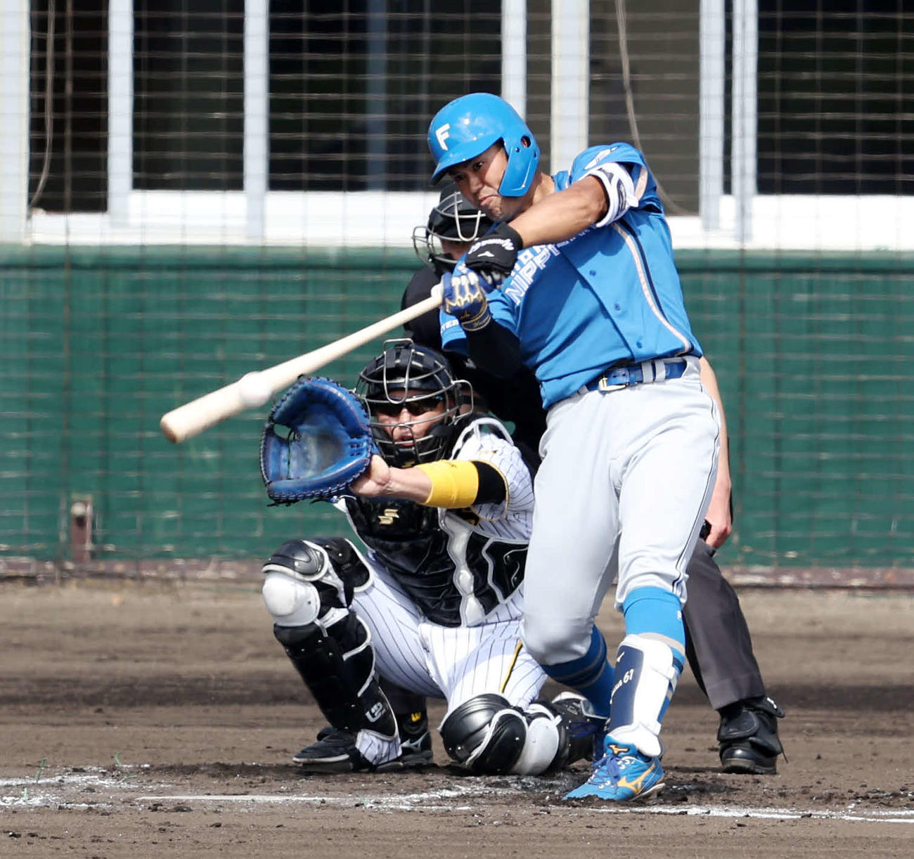 阪神対日本ハム　1回表日本ハム2死満塁、左前適時打を放つ今川（撮影・加藤哉）