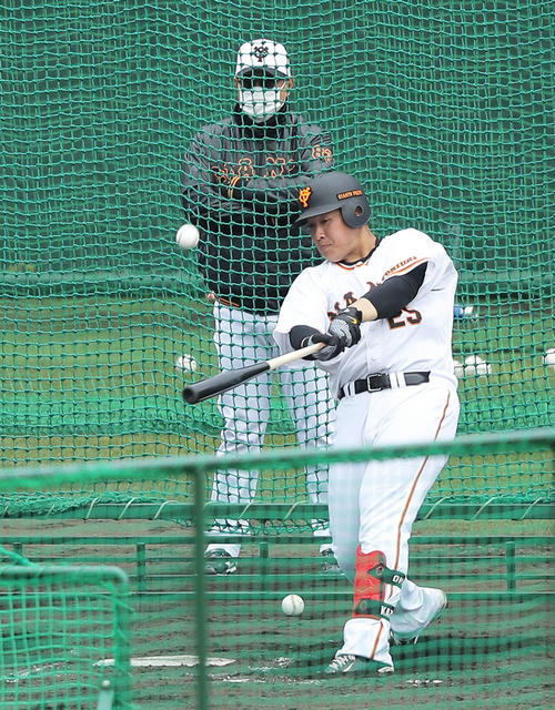 フリー打撃する巨人岡本和（撮影・河田真司）