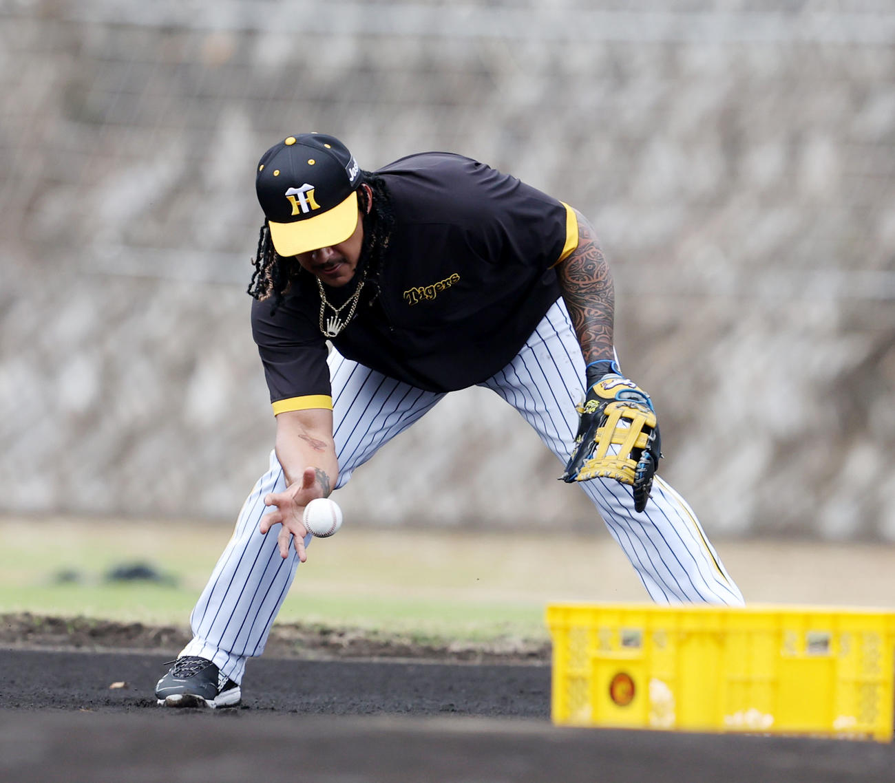 早出特守するマルテは打球を素手でつかむ（撮影・加藤哉）