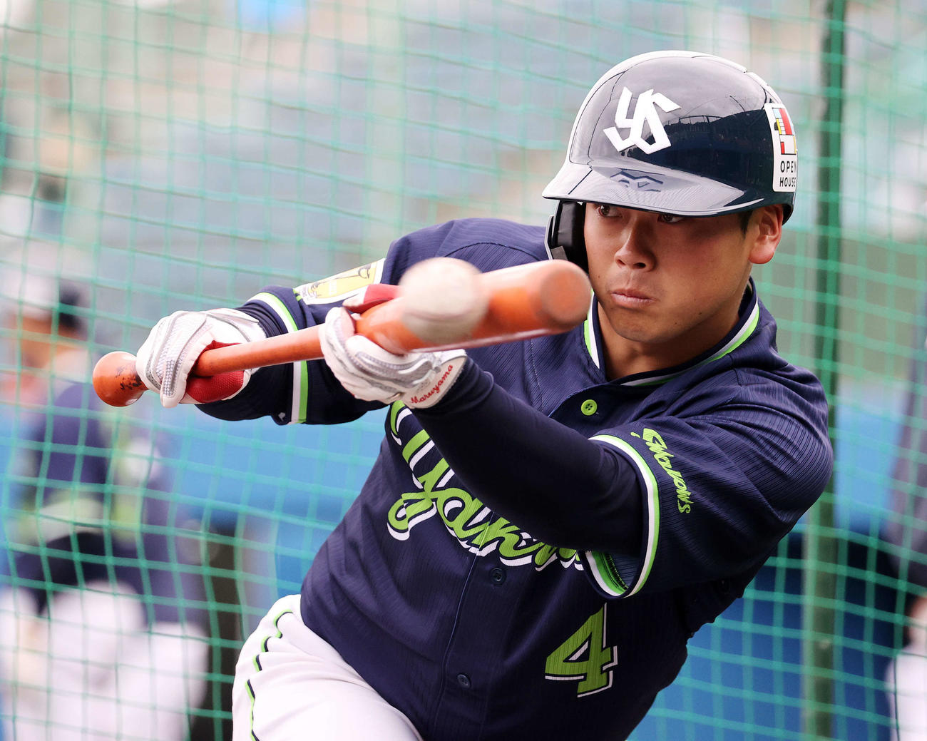 バント練習するヤクルト丸山和（撮影・鈴木正人）