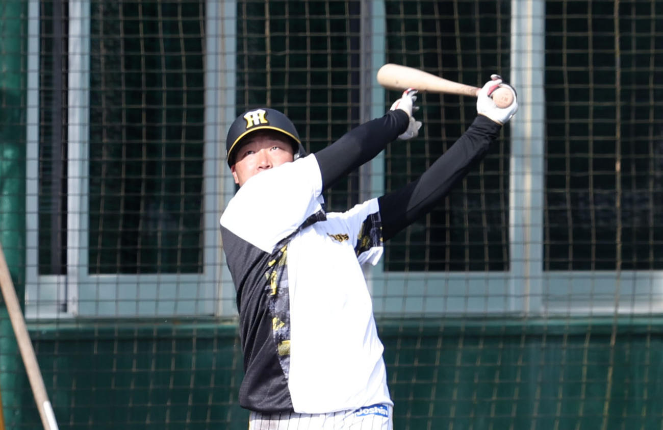 ロングティー打撃を行う大山（撮影・加藤哉）