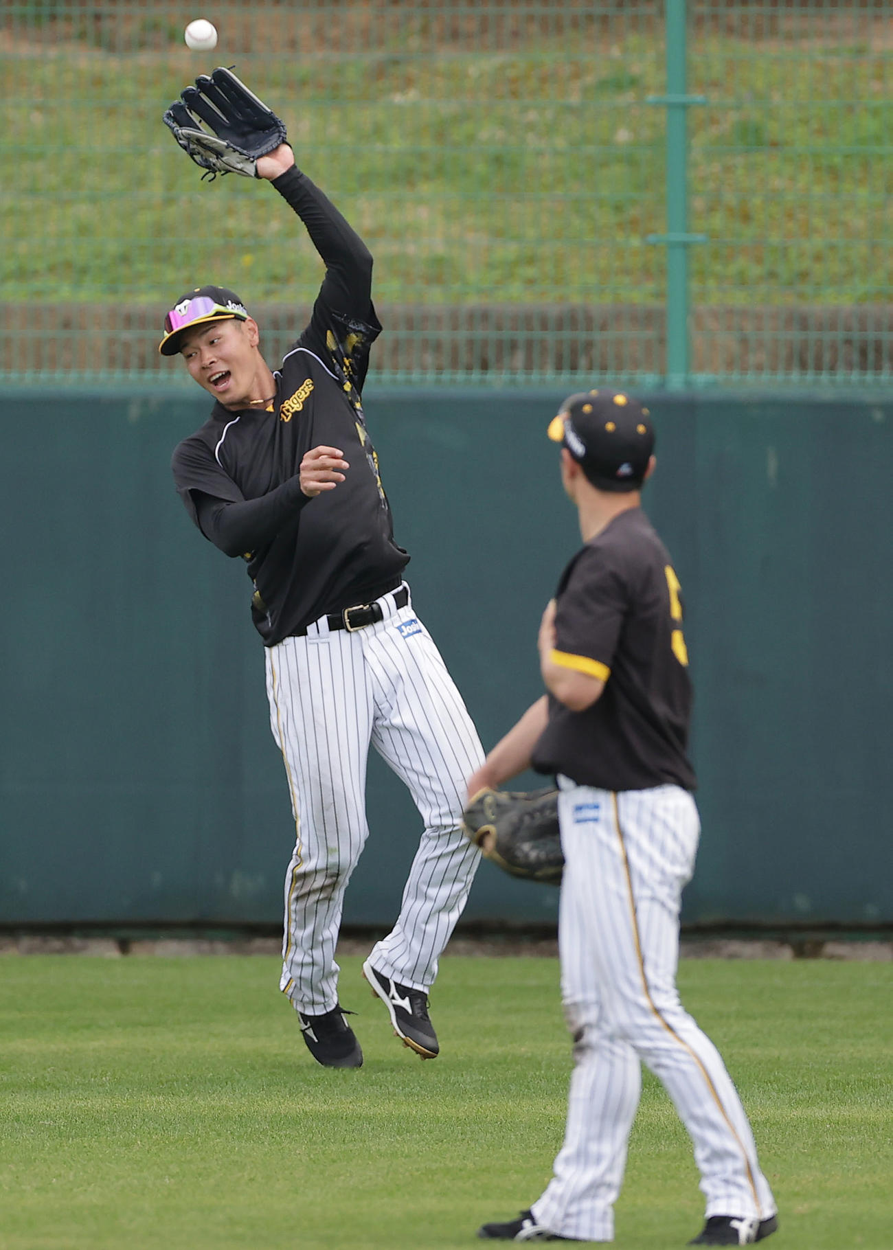 外野で背走ノックを受ける阪神佐藤輝（左）と近本（撮影・前田充）