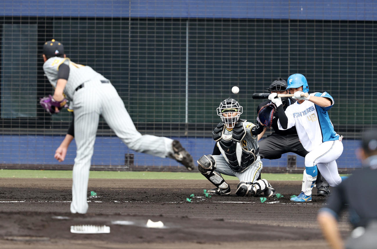 日本ハム対阪神　1回裏日本ハム無死、藤浪は上野のバント作戦を抑え投ゴロに仕留める（撮影・加藤哉）