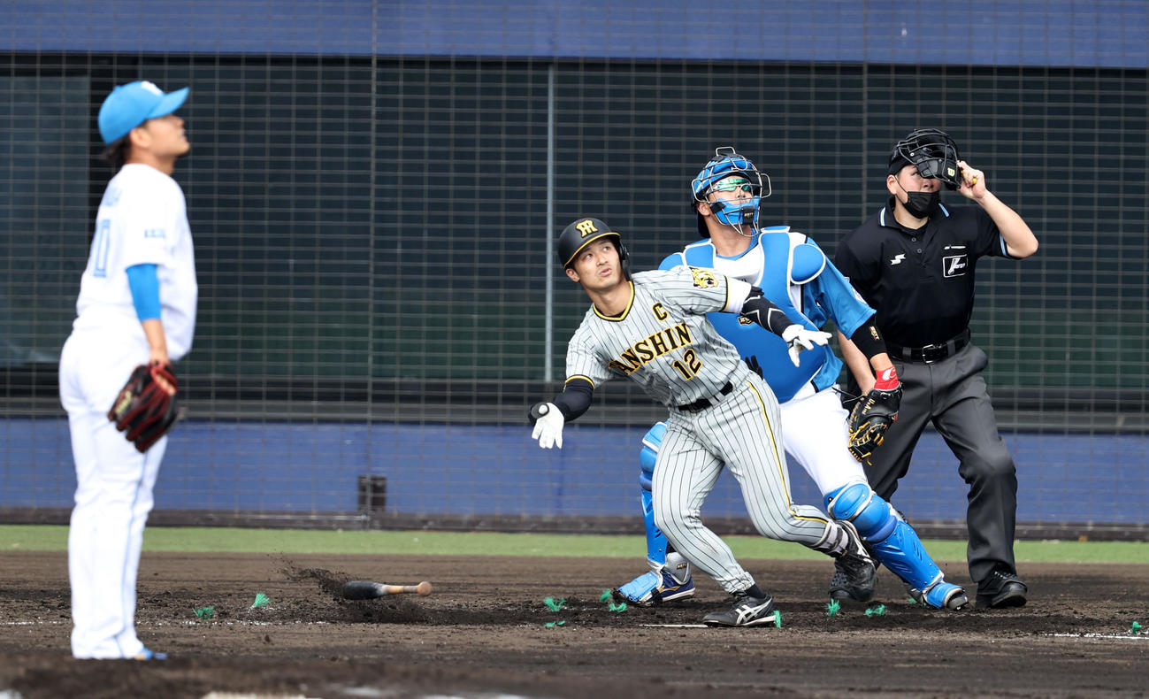 日本ハム対阪神　5回表阪神2死三塁、坂本は左越え2点本塁打を放つ。投手は福田（撮影・加藤哉）