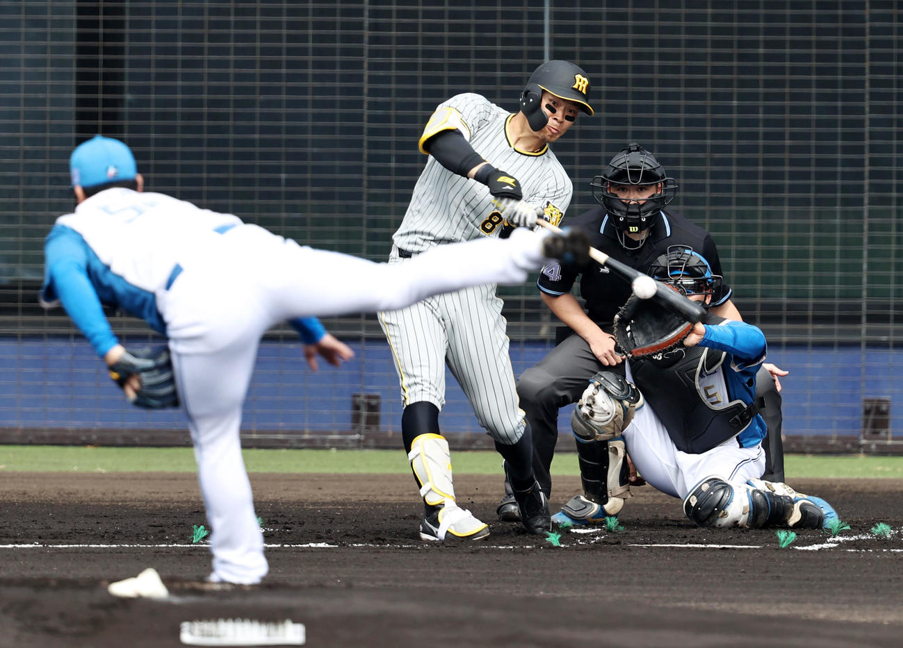 日本ハム対阪神　　1回表阪神2死、佐藤輝は一塁ゴロを打つ。投手は池田（撮影・加藤哉）