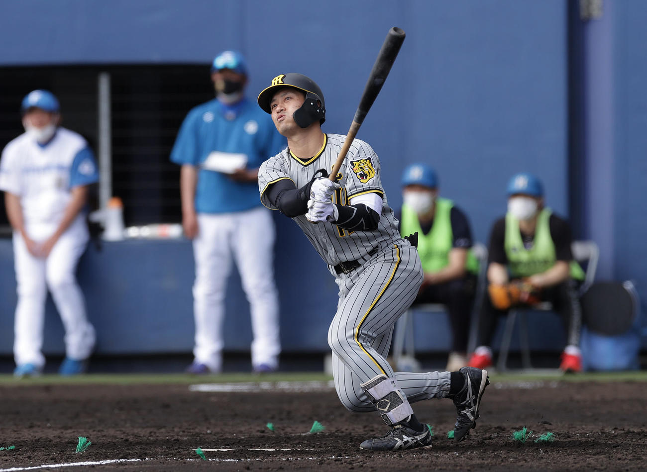 練習試合　日本ハム対阪神　5回表阪神2死三塁、先制の左越え2点本塁打を放つ坂本（撮影・前田充）