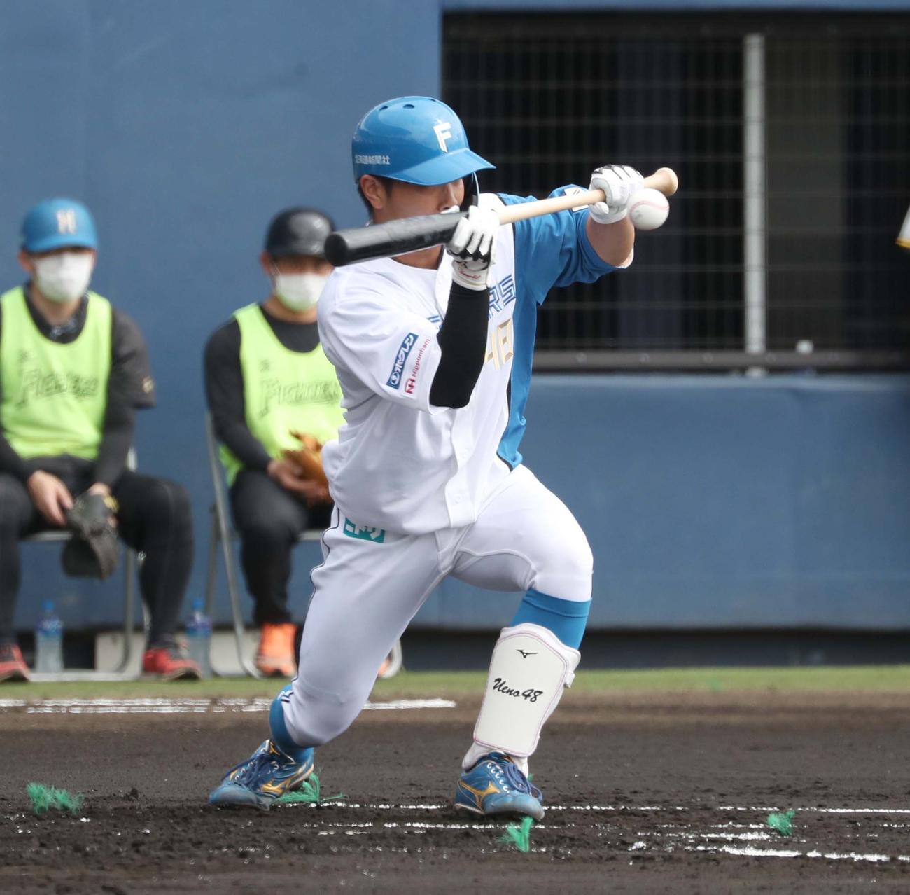 日本ハム対阪神　1回裏日本ハム無死、セーフティーバントを試みる上野（撮影・黒川智章）