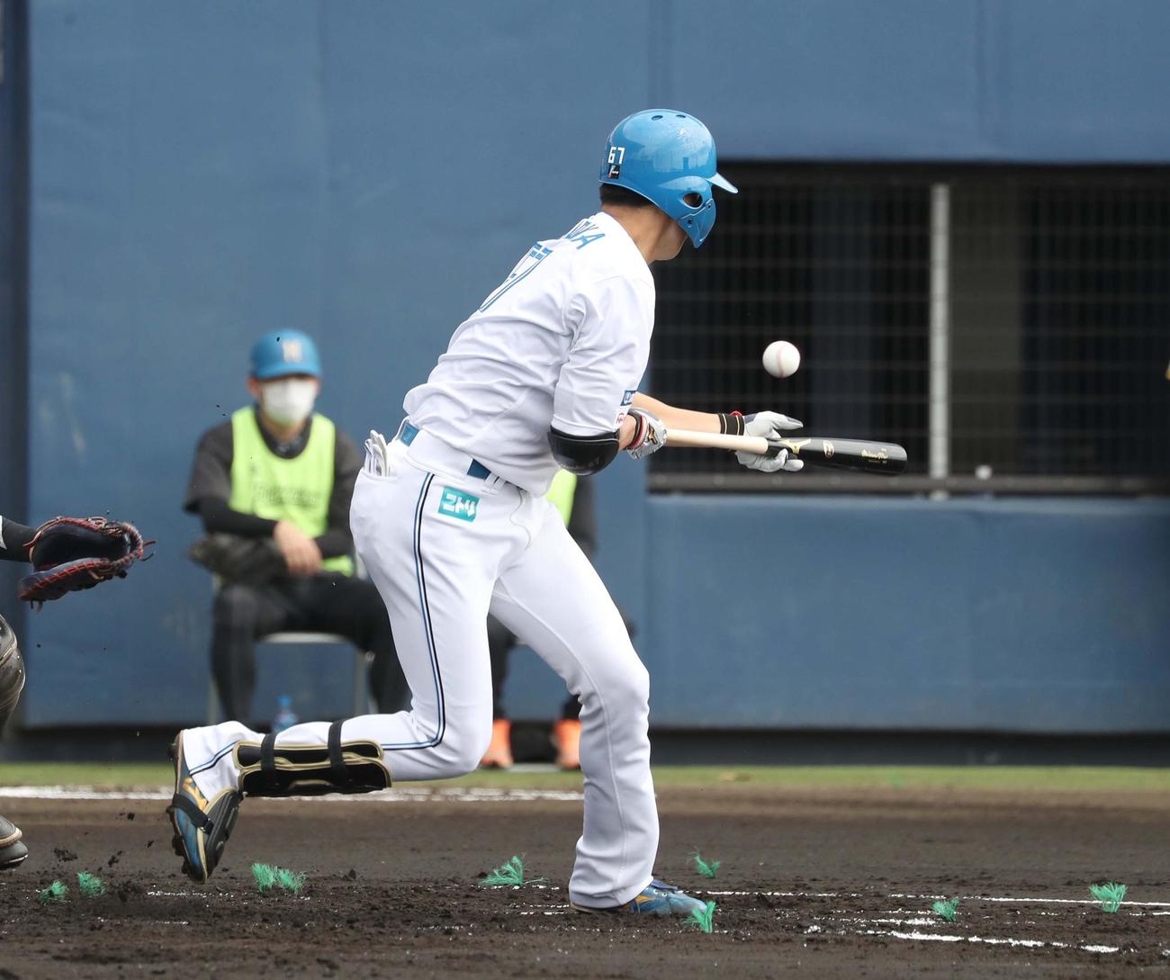 日本ハム対阪神　1回裏日本ハム1死、セーフティーバントを試みる片岡（撮影・黒川智章）