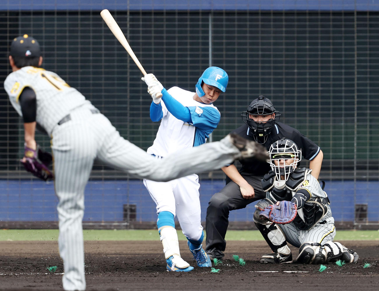 2回裏日本ハム1死、石井は右線に二塁打を放つ。投手は藤浪（撮影・加藤哉）