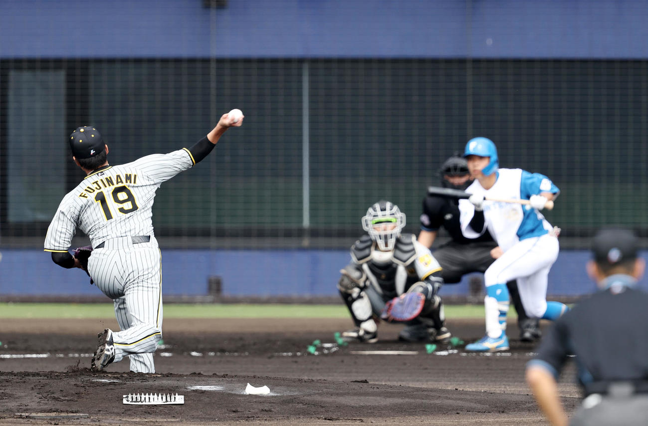日本ハム対阪神　1回裏日本ハム無死、先発藤浪は先頭打者からバント作戦にも動じず投球（撮影・加藤哉）