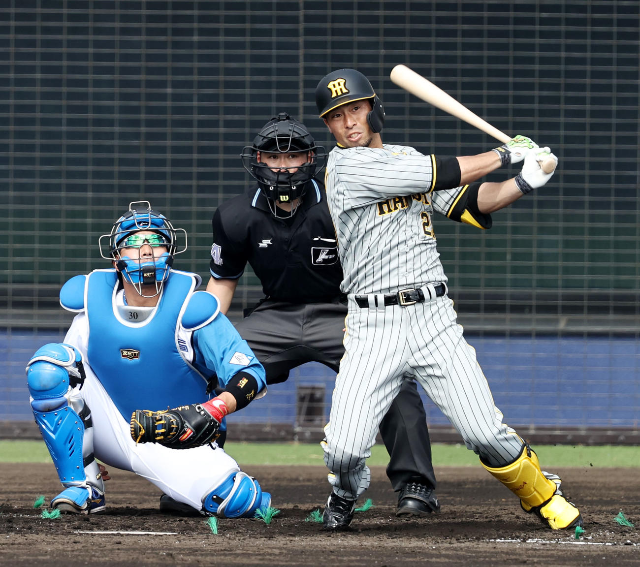 日本ハム対阪神　5回表阪神2死、江越は左前を放つ（撮影・加藤哉）