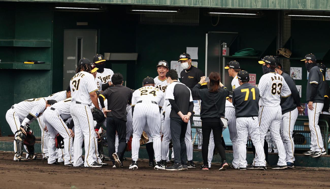 阪神対楽天　試合前の円陣で声を出す阪神小野寺（撮影・加藤哉）