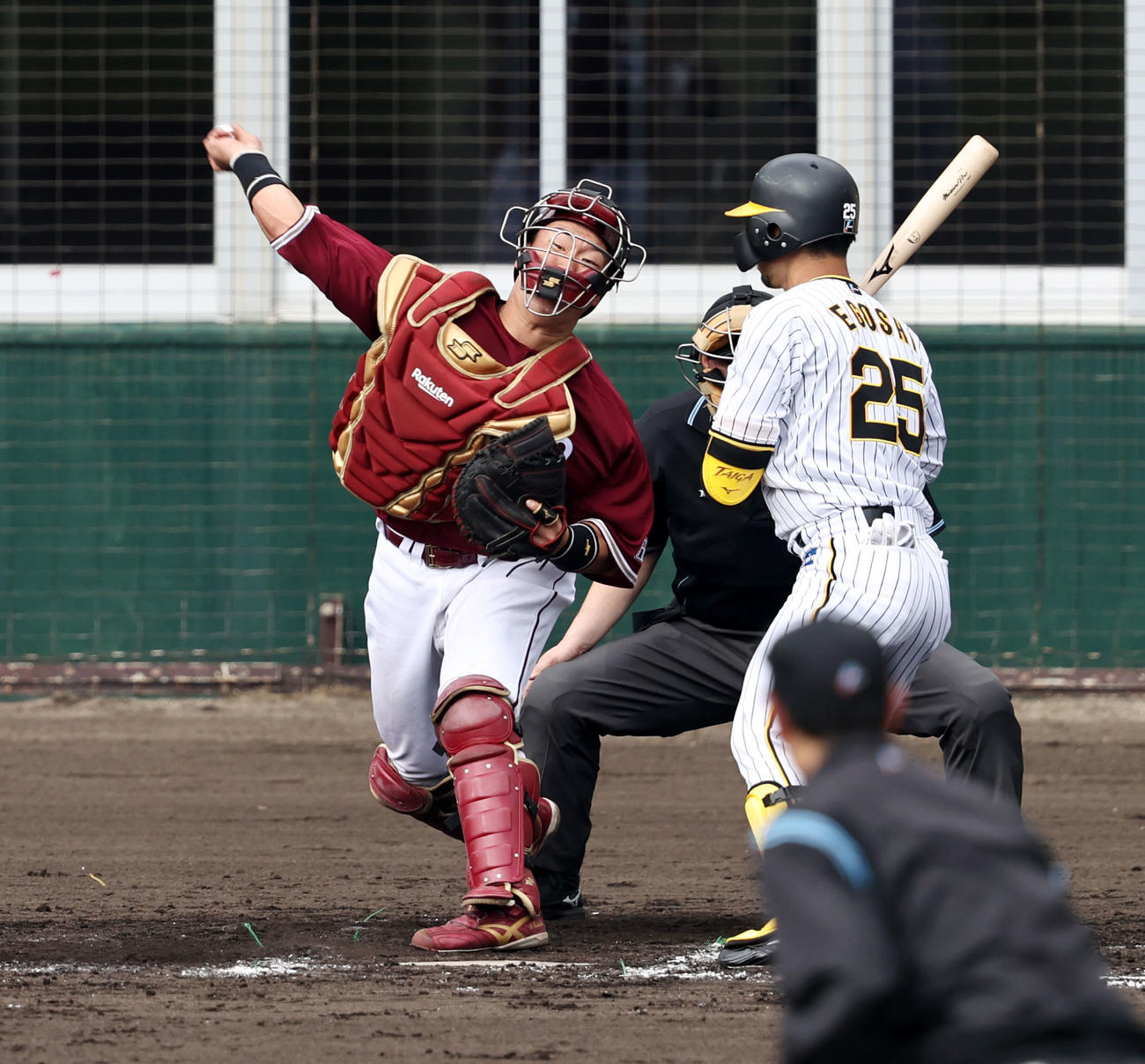 阪神対楽天　8回裏阪神1死一塁、安田は打者江越のとき、一塁走者島田の二塁盗塁を刺す（撮影・加藤哉）