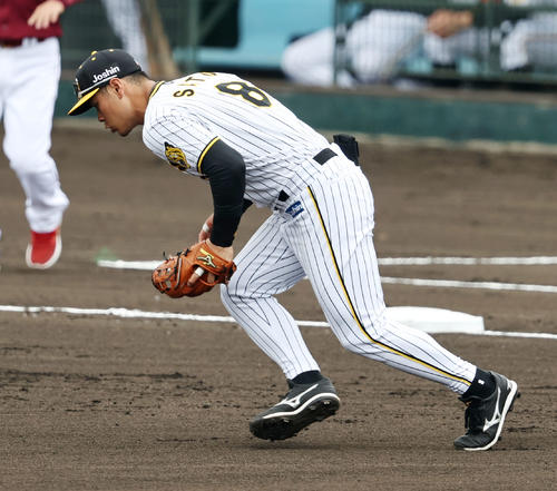 阪神対楽天　1回表楽天2死二塁、佐藤輝は和田恋の打球を捕球する（撮影・加藤哉）