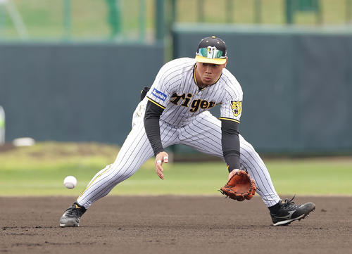 阪神対楽天　1回表楽天2死二塁、和田の打球を処理する三塁手佐藤輝（撮影・前田充）