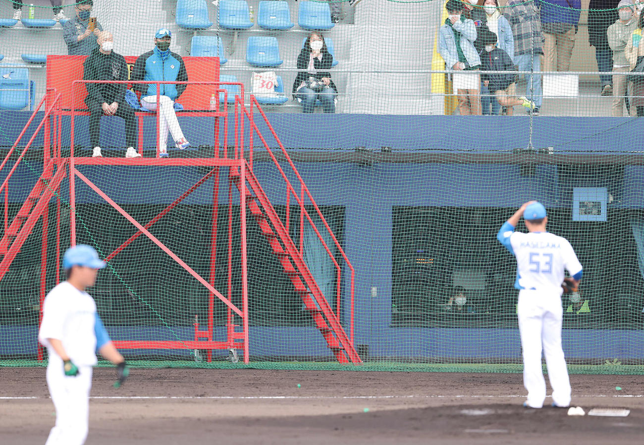 紅白戦でマウンド上の日本ハム長谷川（手前右）を見つめる、後方左から森本氏、新庄監督（撮影・河野匠）