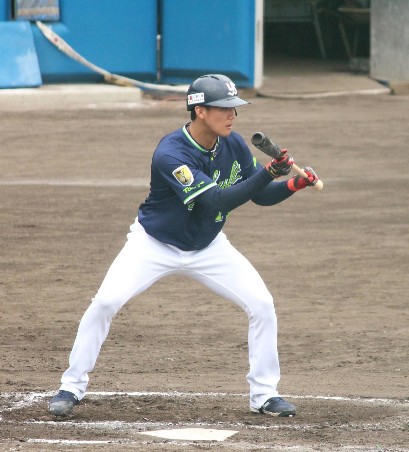 ケース打撃でバントをするヤクルト奥川（撮影：保坂恭子）