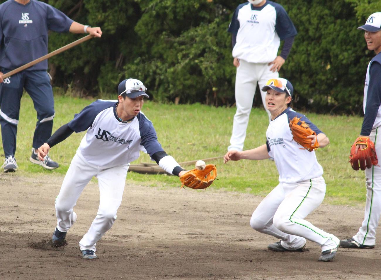 特守でノックを受け、弾きそうになるヤクルト山田（左）と驚いた表情の長岡（右）（撮影・保坂恭子）