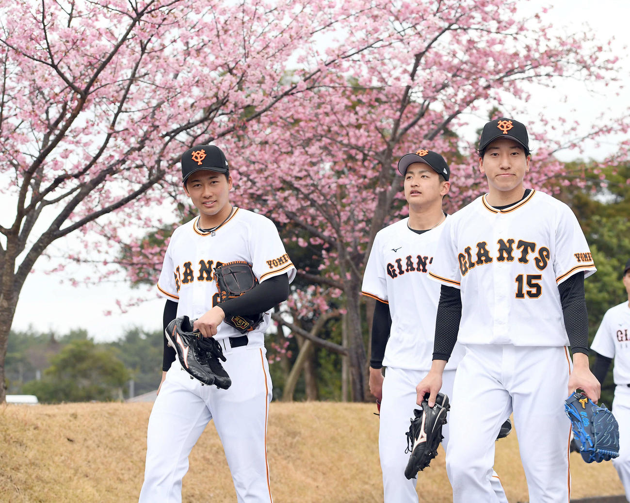 コロナ感染で3軍スタートとなった巨人大勢（右）は、河津桜の脇を抜けブルペンへ向かう。左から代木、鴨打（撮影・たえ見朱実）