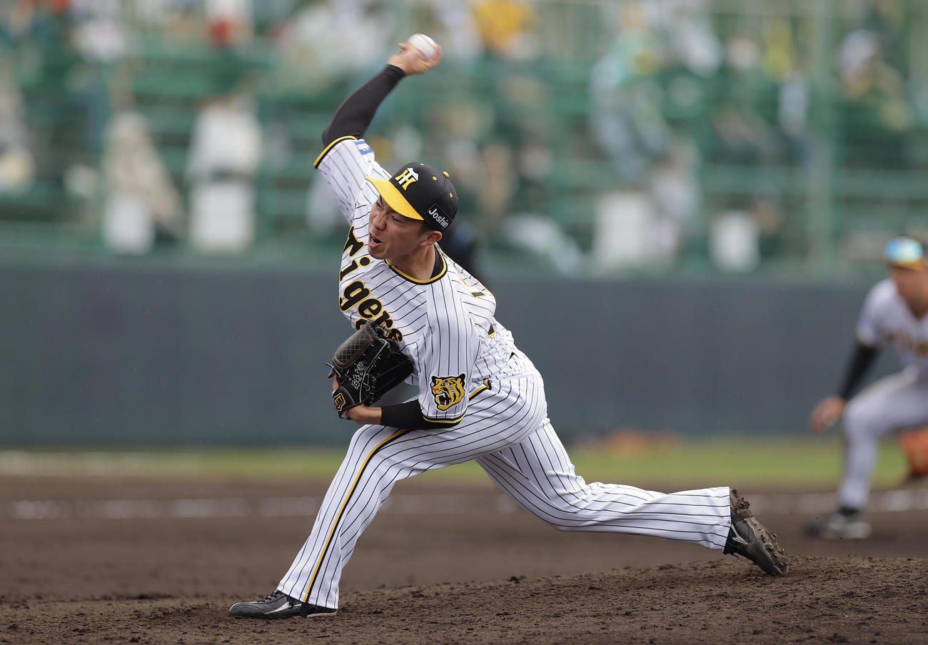 楽天戦で2イニングを2安打無失点に抑えた阪神石井（撮影・前田充）