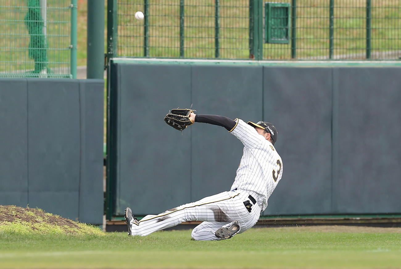 阪神対楽天　2回表楽天無死、黒川の邪飛を好捕する左翼手大山（撮影・前田充）