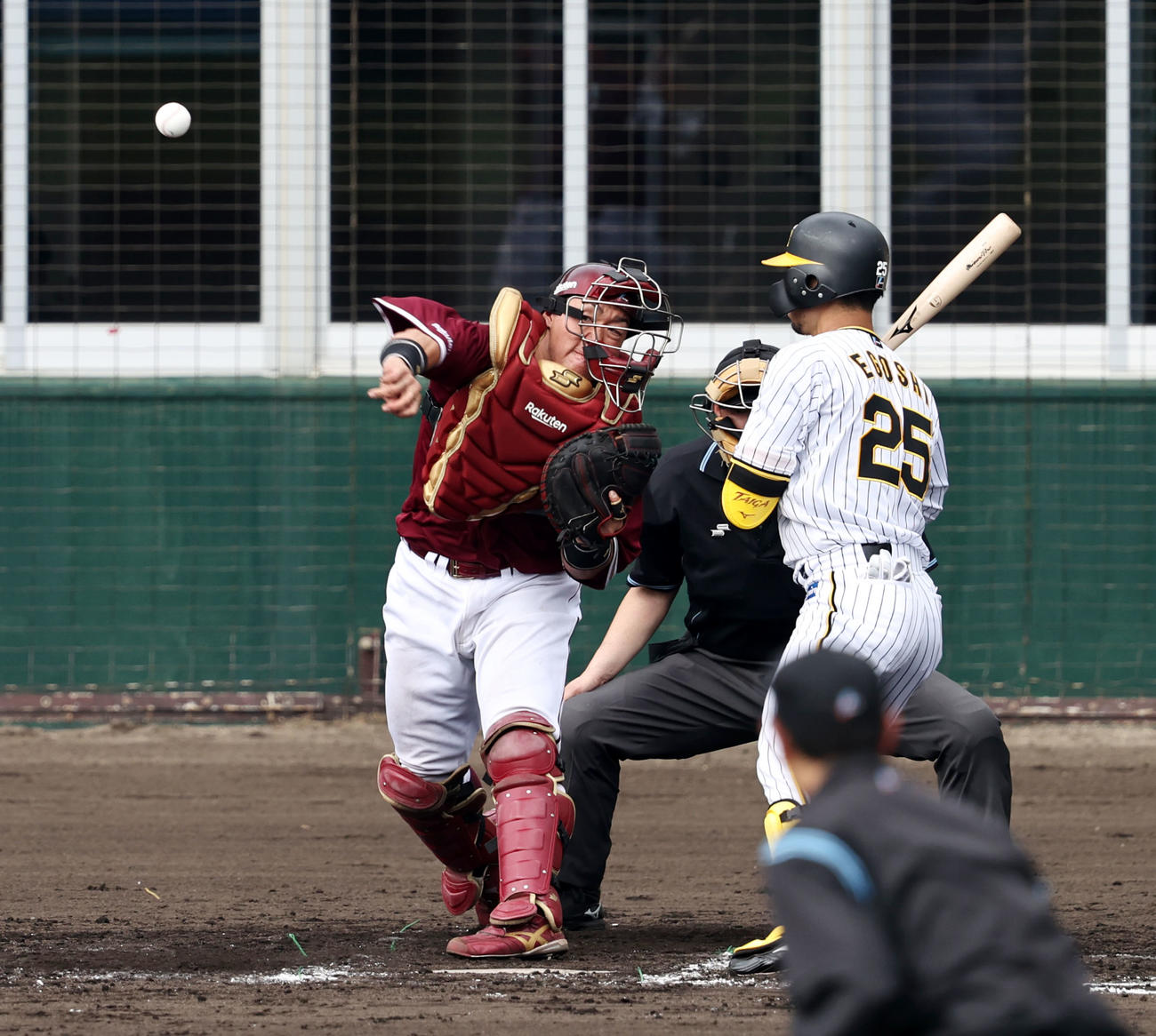 阪神対楽天　8回裏阪神1死一塁、安田は打者江越のとき、一塁走者島田の二塁盗塁を刺す（撮影・加藤哉）