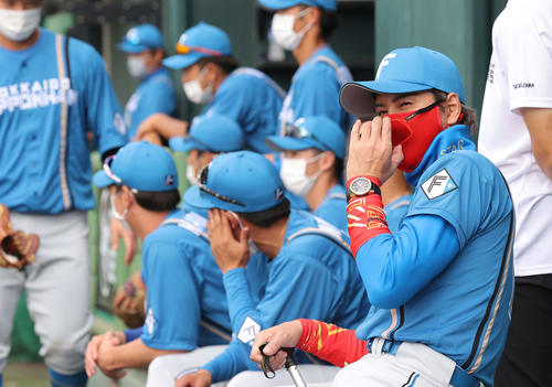 練習試合　楽天対日本ハム　サングラスをずらして戦況を見つめる日本ハム新庄監督（撮影・河野匠）