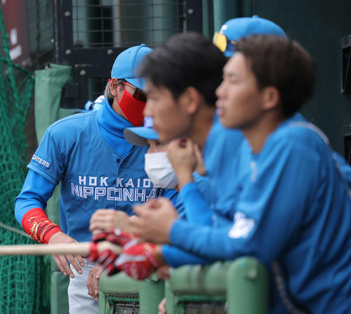 練習試合　楽天対日本ハム　楽天に敗れ、ベンチ奥に引き揚げる新庄監督（後方）（撮影・河野匠）