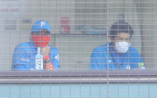 楽天対日本ハム　練習試合開始を待つ日本ハム新庄監督（左）と稲葉GM（撮影・河田真司）